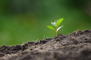 Environmental-assessment-Img