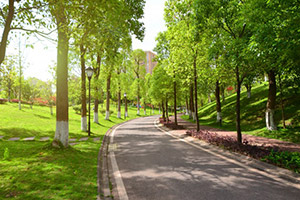 Park-Img