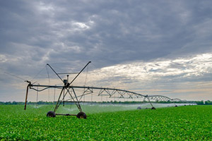 Watering-System-Img